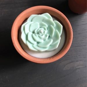 Succulent Candle